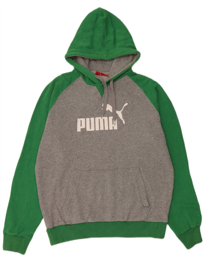 Męski sweter z kapturem Puma z grafiką, średnioszary, bawełniany z blokami kolorów