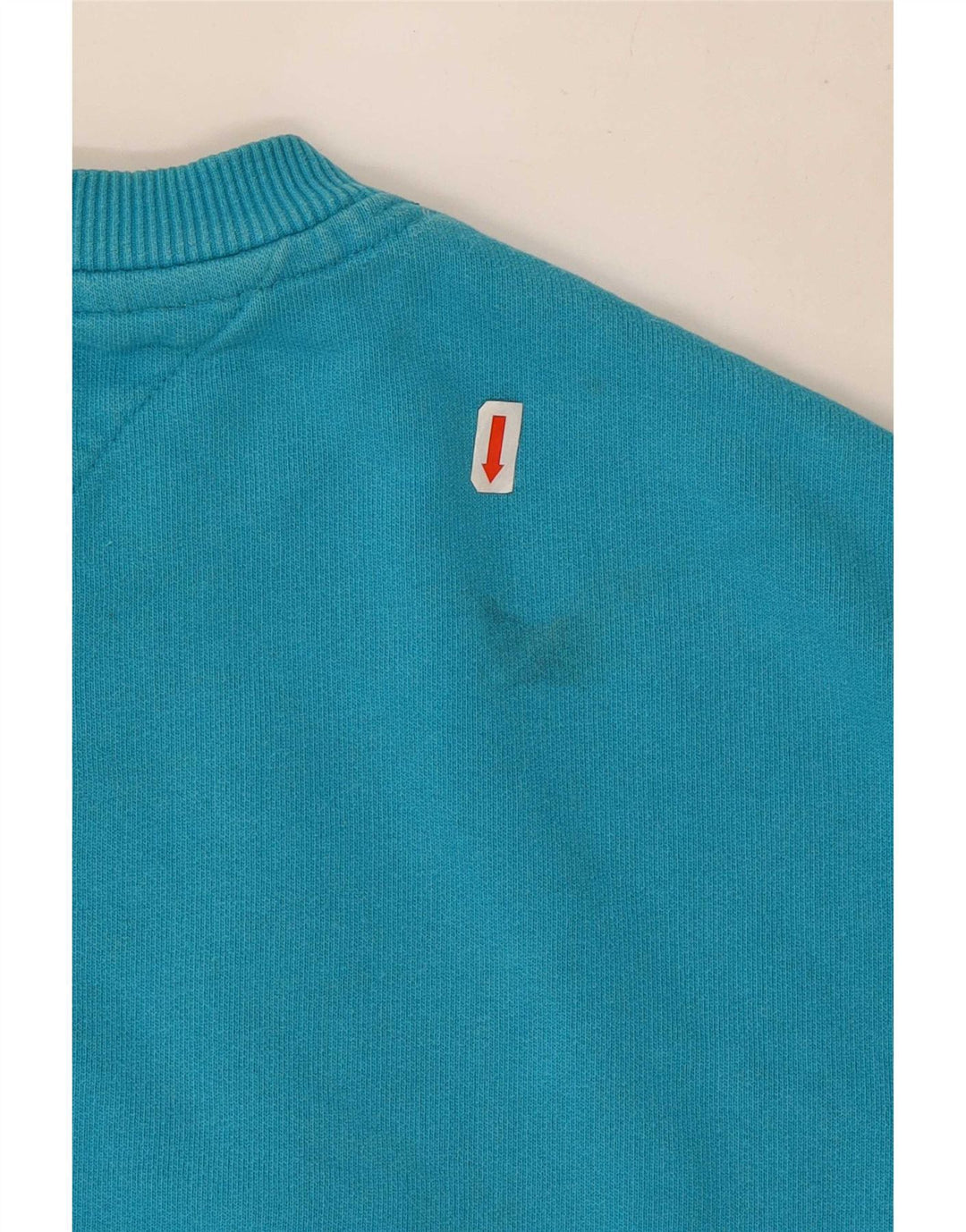 Męska bluza z grafiką Tommy Hilfiger, mała niebieska, bawełniana