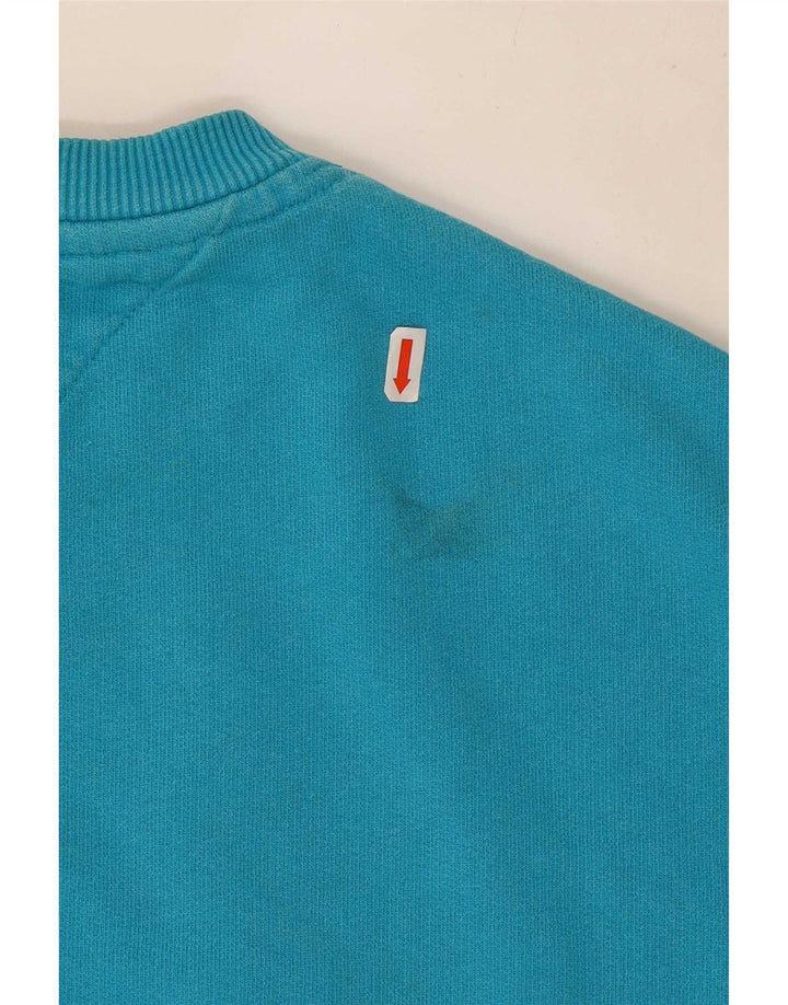 Męska bluza z grafiką Tommy Hilfiger, mała niebieska, bawełniana