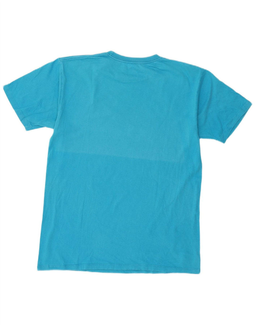 Męski T-shirt z grafiką Vans, duży, niebieski, bawełniany