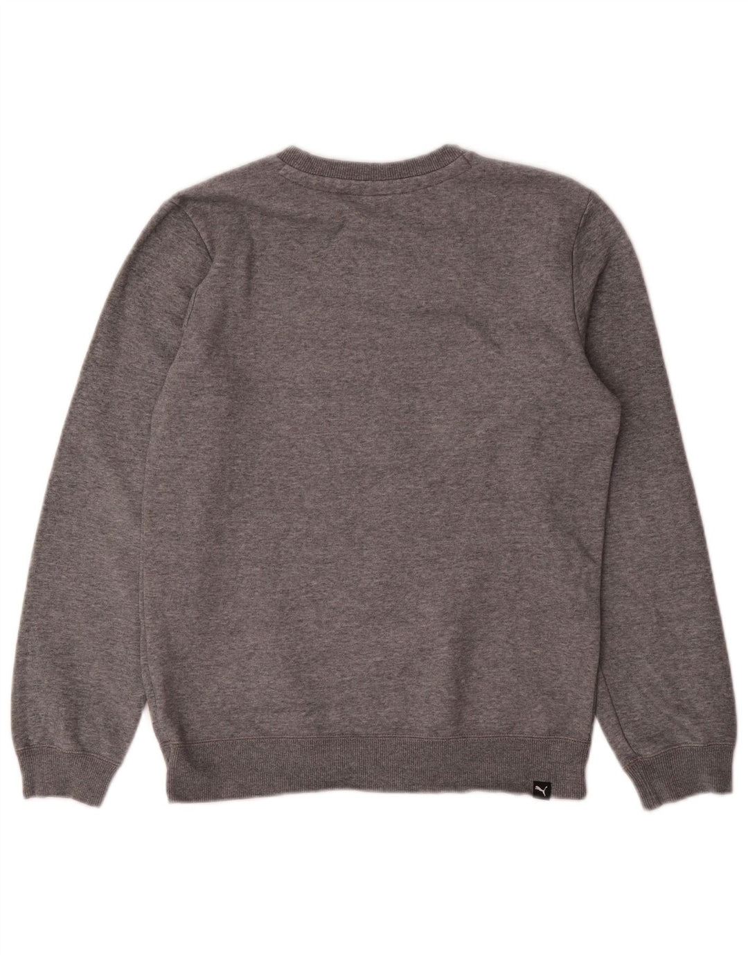 Chłopięcy sweter z grafiką PUMA, 13-14 lat, szary