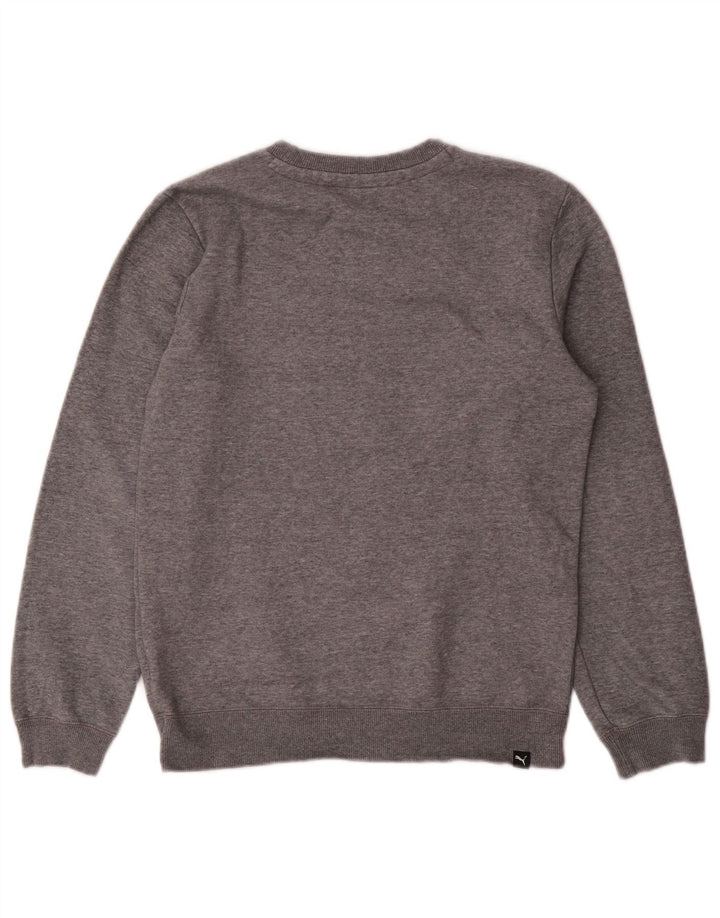 Chłopięcy sweter z grafiką PUMA, 13-14 lat, szary