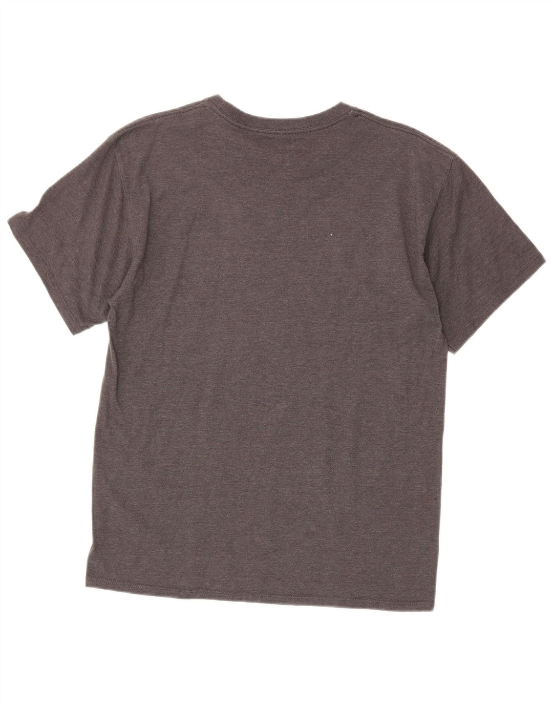 Męski T-shirt Champion z grafiką, średni szary