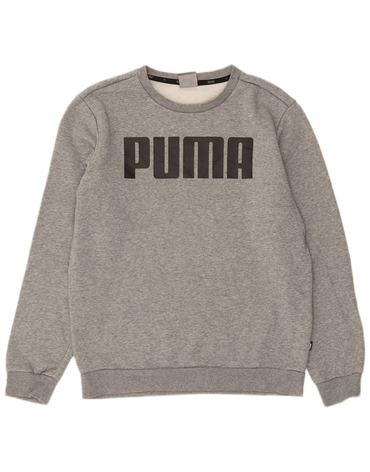 Męska bluza z grafiką Puma, mała, szara, bawełniana