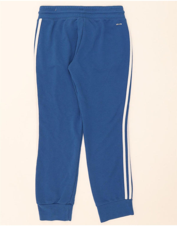 Adidas Damskie Climalite Dresowe Spodnie Joggers UK 12/14 Średni Niebieski