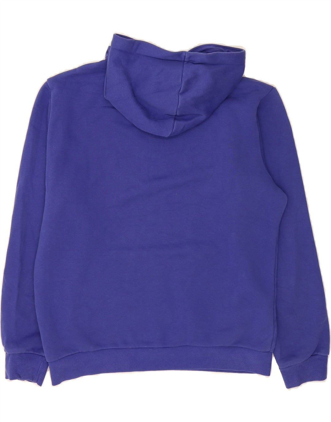 PUMA Mens Graphic Hoodie Jumper Small Blue Cotton Vintage Puma and Second-Hand Puma from Messina Hembry 