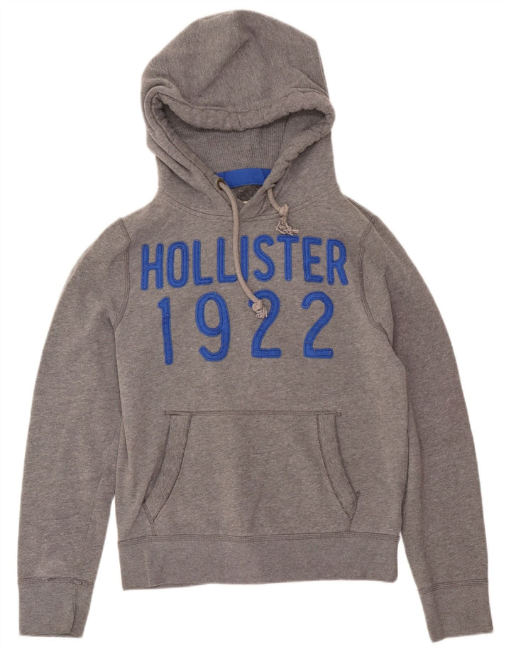 Męski sweter z kapturem i grafiką Hollister, średnioszary, bawełniany