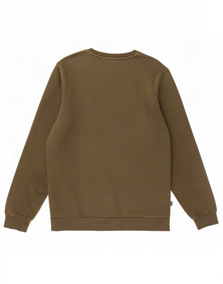 Męska bluza z grafiką Puma, średnia, bawełniana khaki