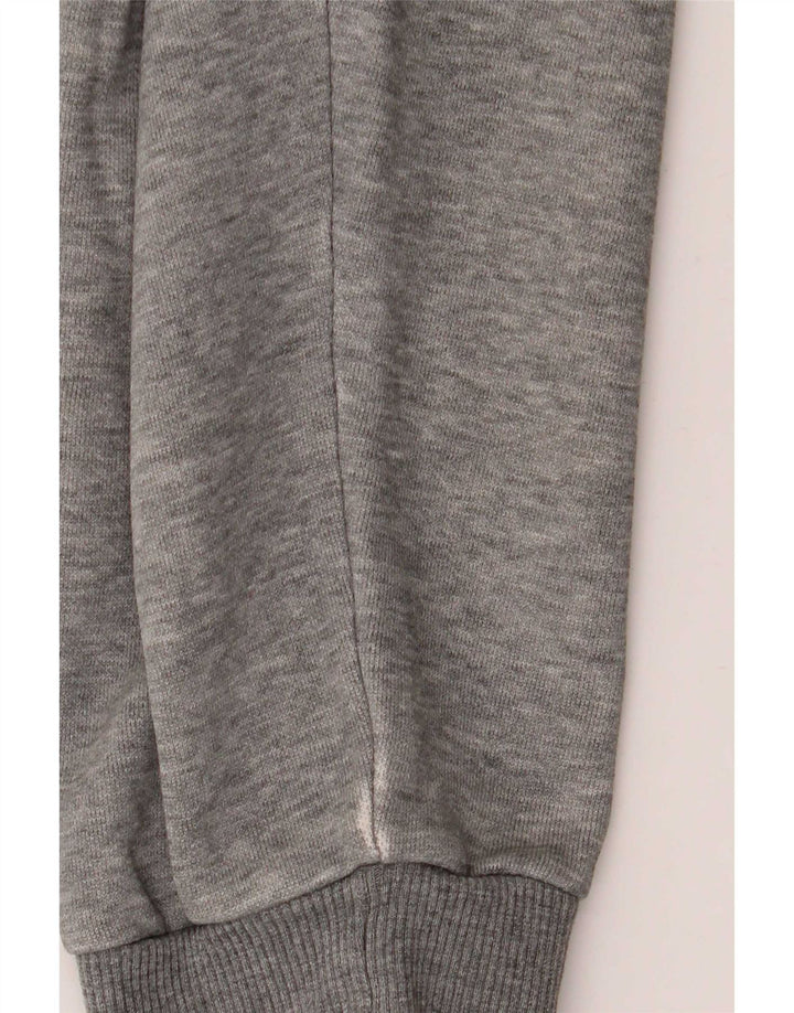 Męska bluza z grafiką Puma XL, szara, nakrapiana