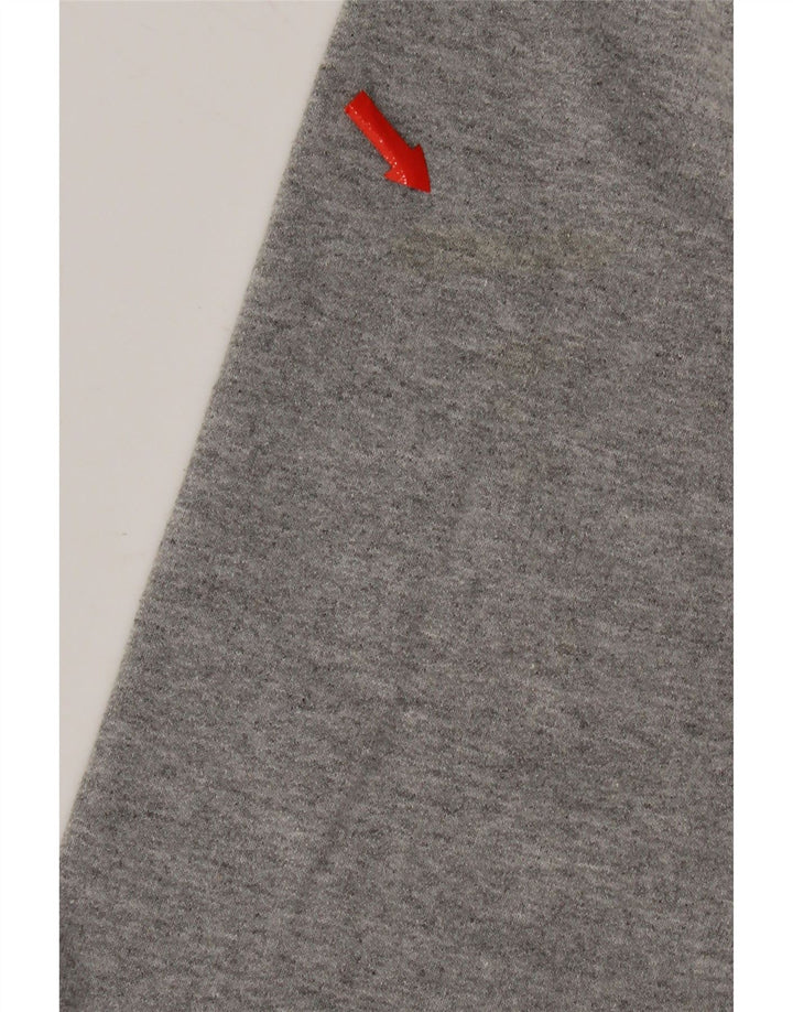 Męski sweter z grafiką Champion, mały, szary, bawełniany