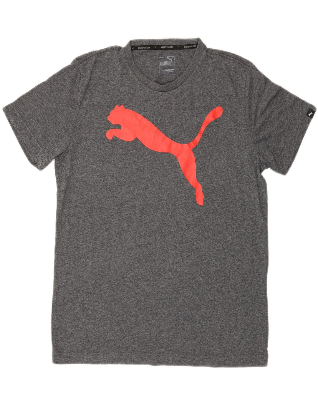 Męska koszulka z grafiką Puma, średnia szara bawełna
