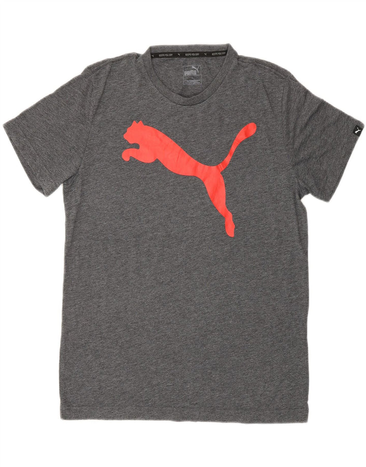 Męska koszulka z grafiką Puma, średnia szara bawełna