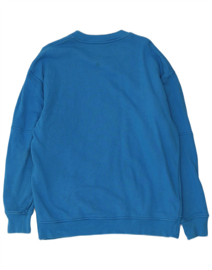 Męski sweter Zara, duży, niebieski
