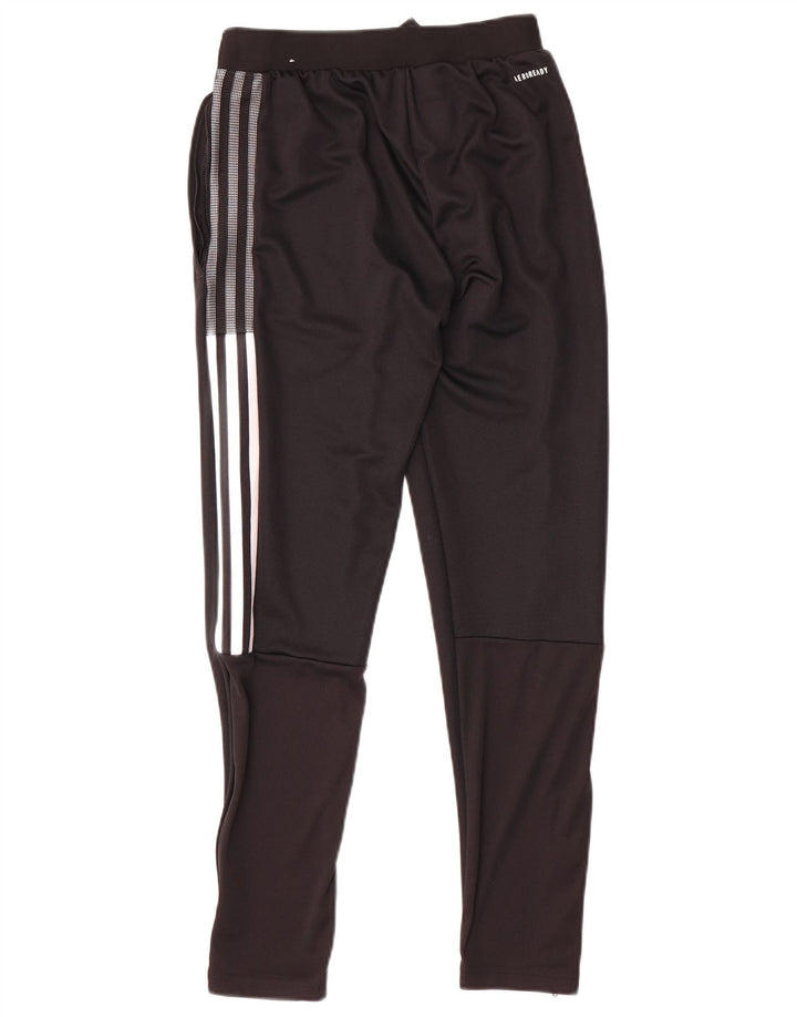 Męskie spodnie dresowe Adidas Boston Celtics XS, czarny poliester
