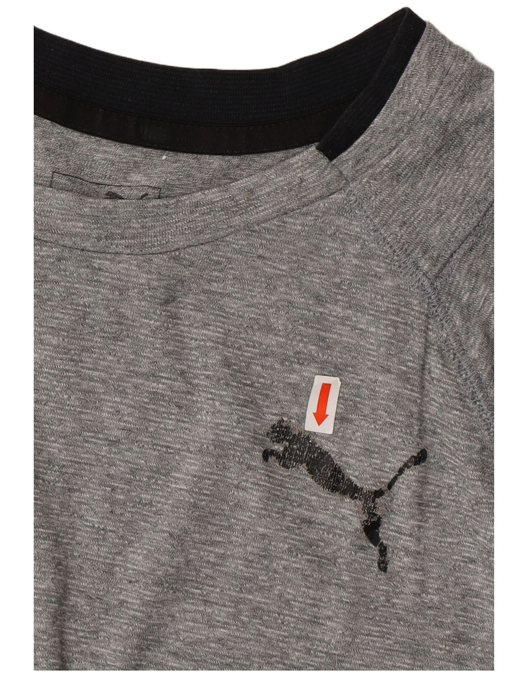 T-shirt męski Puma, średni, szary, nakrapiany