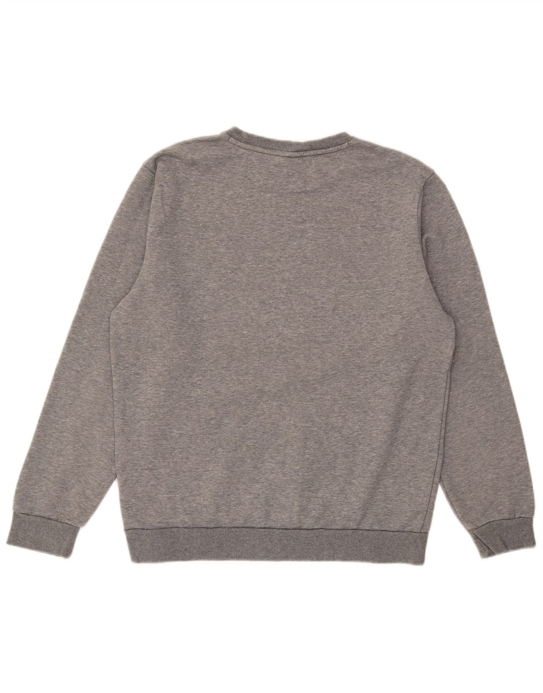 Męska bluza z grafiką Puma, średnia, szara, bawełniana nakrapiana