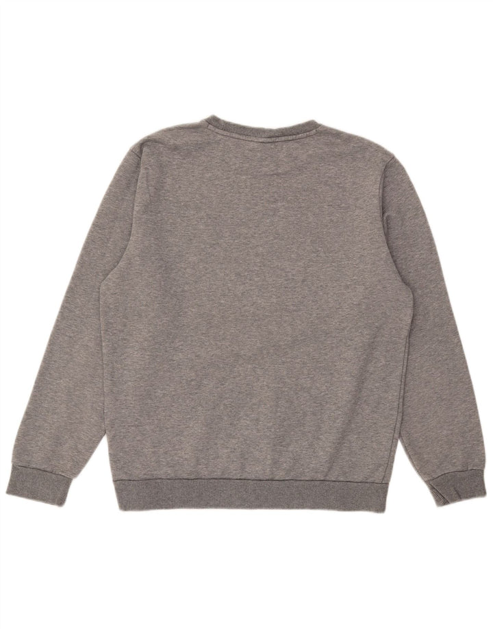 Męska bluza z grafiką Puma, średnia, szara, bawełniana nakrapiana