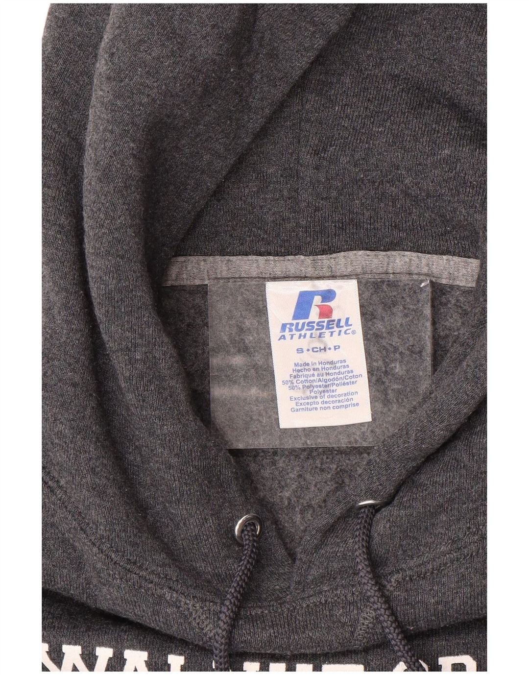 Męski sweter z kapturem i grafiką RUSSELL ATHLETIC Wildcats, mały, szary, bawełniany