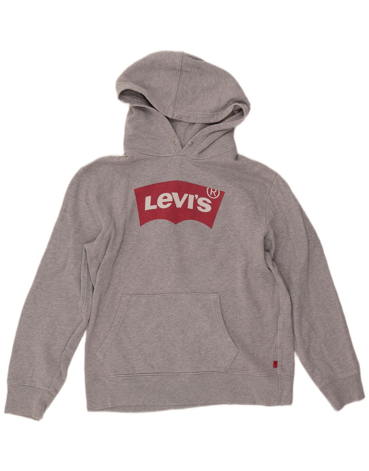 Męski sweter z kapturem i grafiką LEVI'S, średnioszary, bawełniany