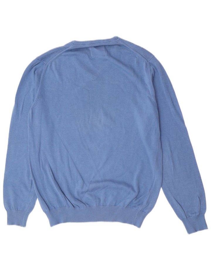 Męski sweter z dekoltem w kształcie litery V, PEPE Jeans, średni niebieski, bawełniany