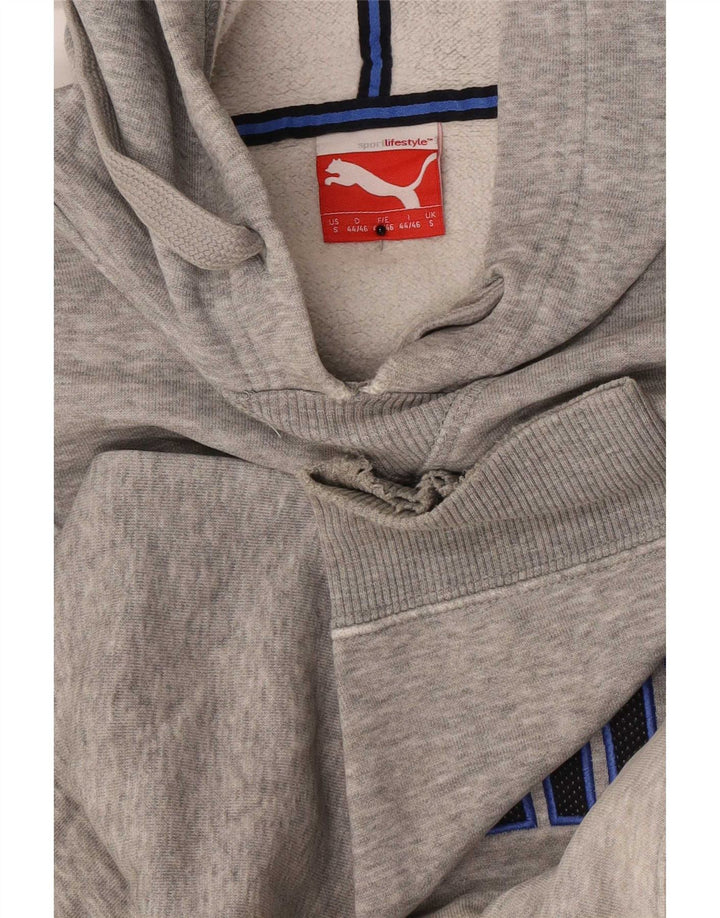 Męska bluza z kapturem Puma z grafiką, mała, szara, nakrapiana