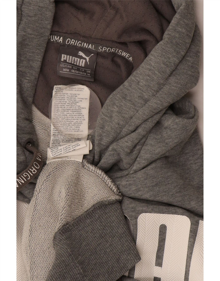 Męski sweter z kapturem Puma z grafiką, średnioszary, bawełniany