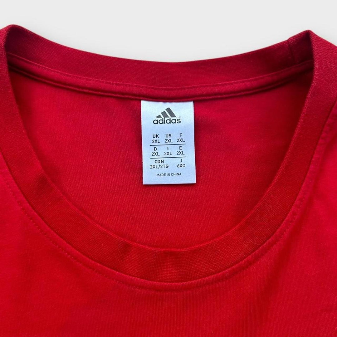 Koszulka do rugby Lions – XXL