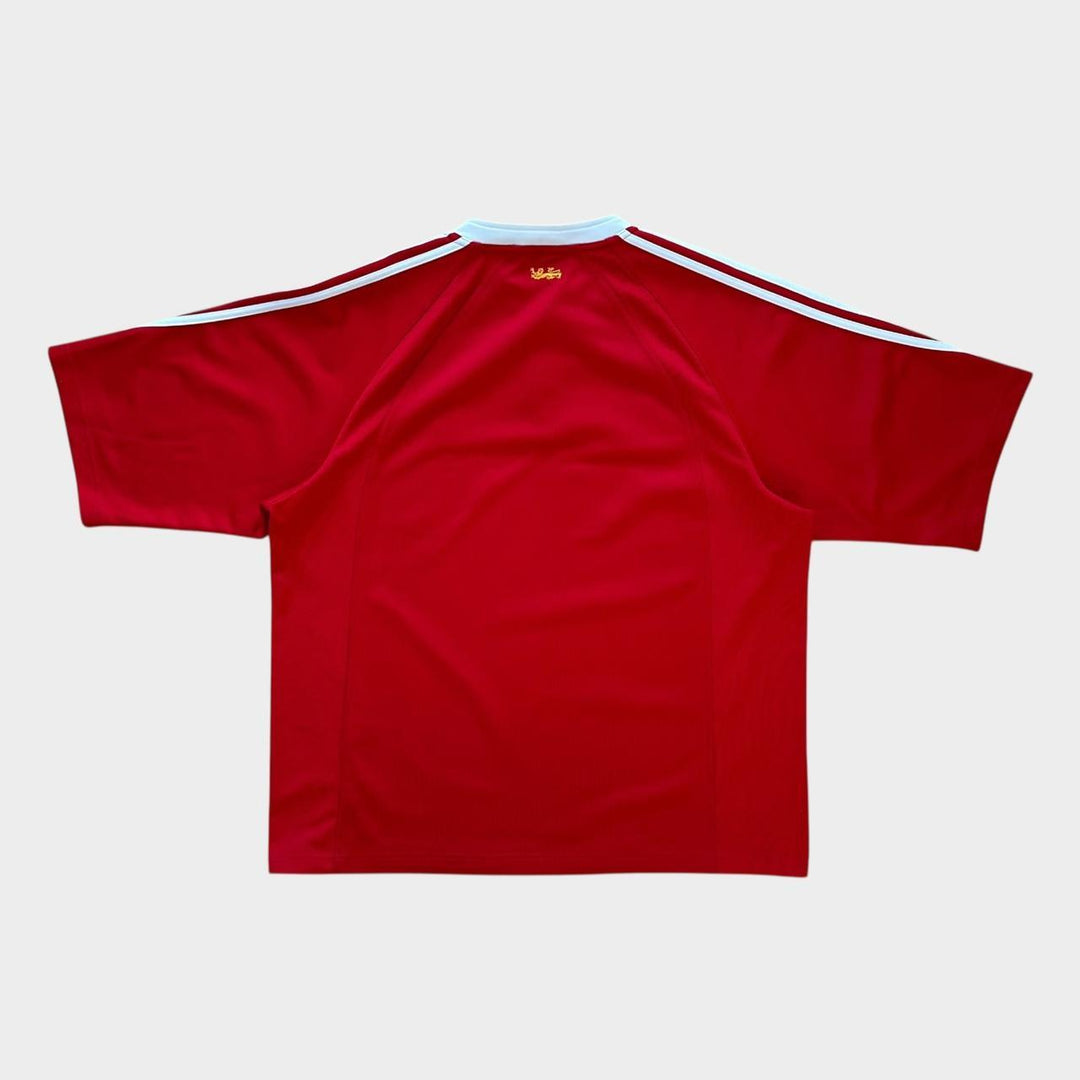 Koszulka do rugby Vintage Lions – XL