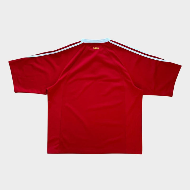 Koszulka do rugby Vintage Lions – XL