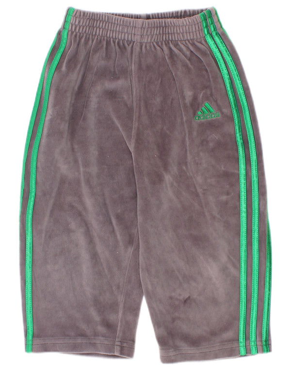 Spodnie dresowe Adidas Baby Boys Velvet 18-24 miesięcy Szara bawełna