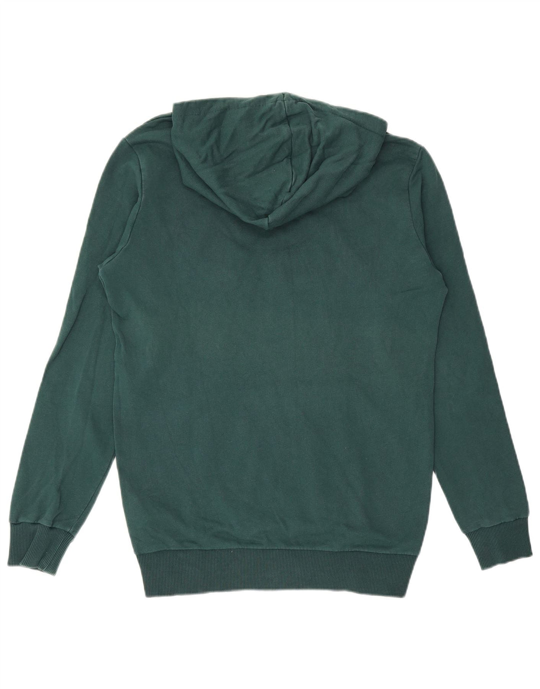 Męski sweter z kapturem i grafiką PUMA, mały, zielony, bawełniany