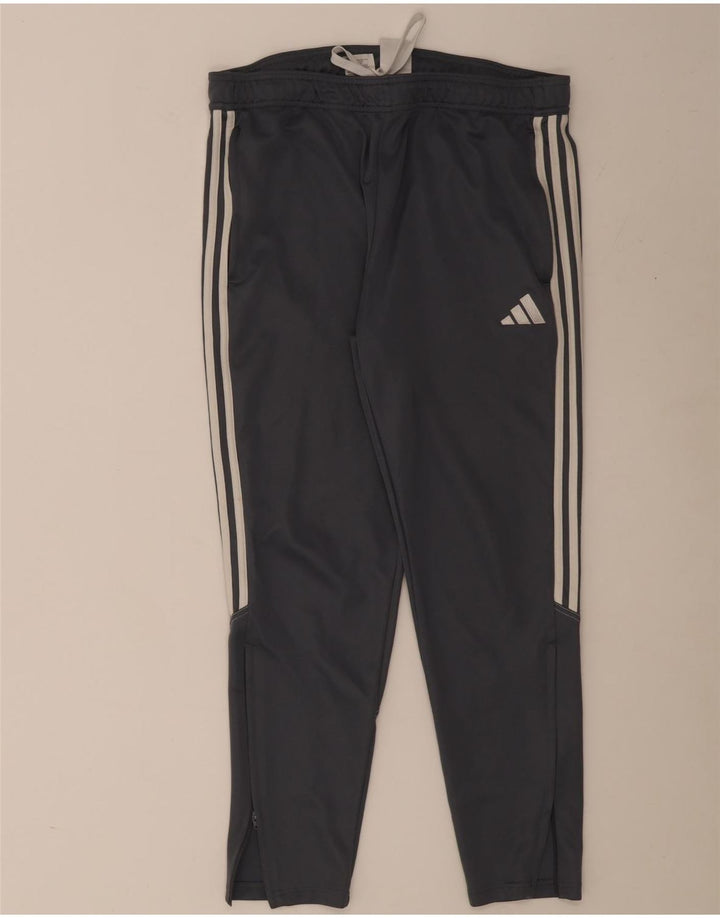 Męskie spodnie dresowe Adidas XL Szary poliester