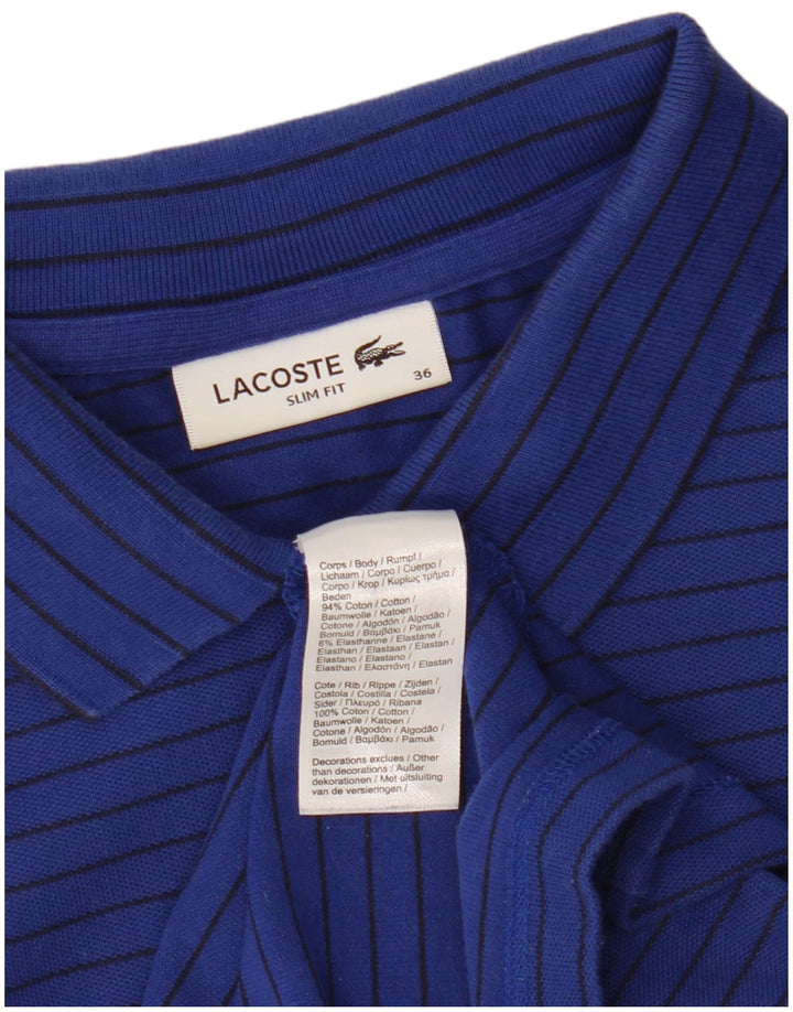 Damska koszulka polo LACOSTE Slim Fit, rozmiar 36, mała, bawełniana w niebieskie paski