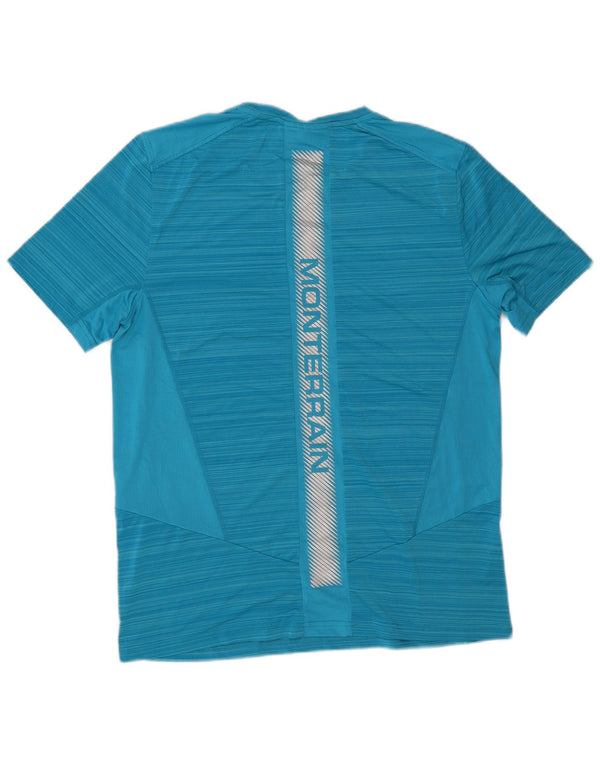 Męska koszulka z grafiką Monterrain, poliester w średnie niebieskie paski