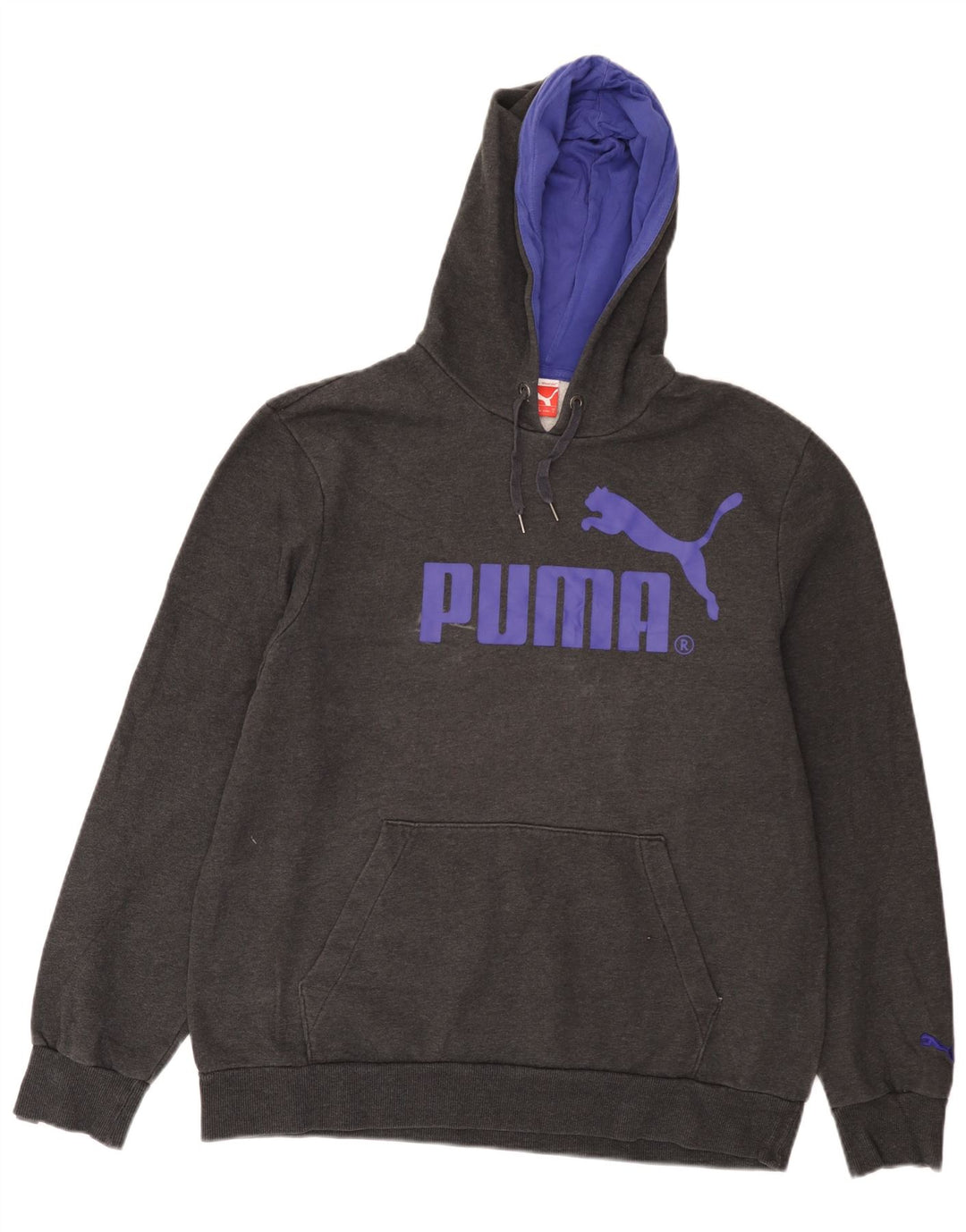 Męski sweter z kapturem Puma z grafiką, duży, szary
