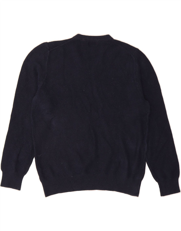 IZOD Womens V-Neck Jumper Sweater UK 14 Medium Navy Blue Cotton Vintage Izod and Second-Hand Izod from Messina Hembry 