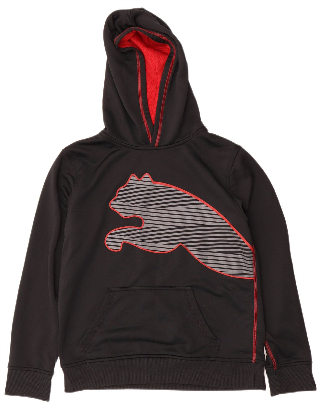 Chłopięcy sweter z kapturem Puma z grafiką 14-15 lat, duży, czarny poliester