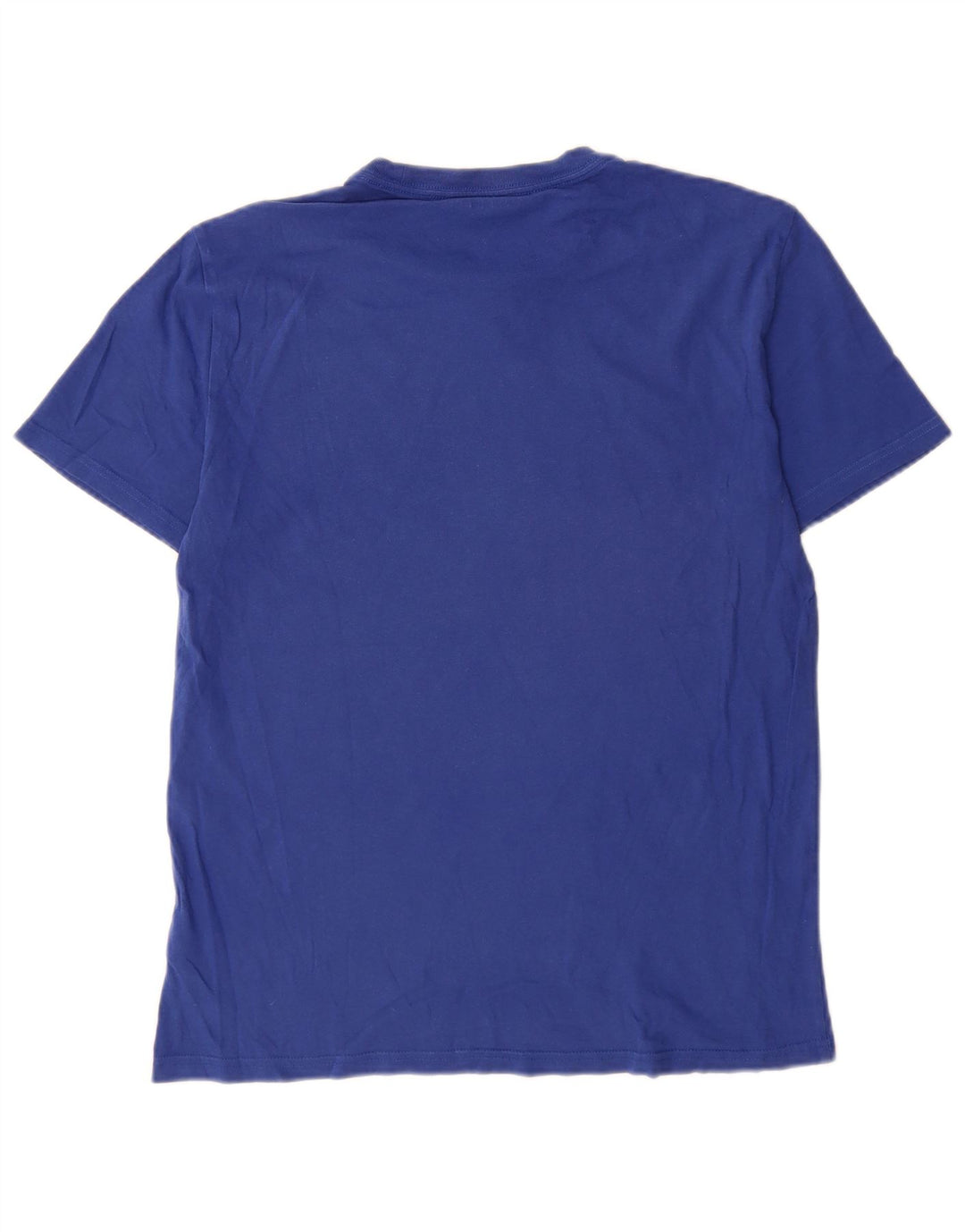 Męska koszulka z grafiką Calvin Klein Jeans Top, średnia niebieska bawełna