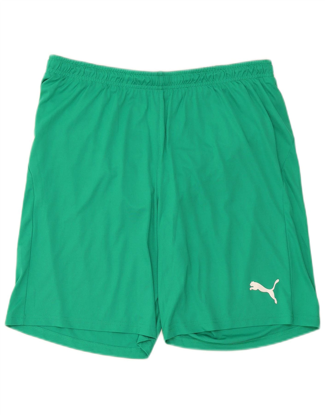 Męskie spodenki sportowe Puma, duże, zielone, z poliestru