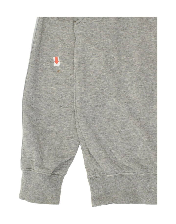 NIKE Mens Graphic Hoodie Jumper Medium Grey Cotton Vintage Nike and Second-Hand Nike from Messina Hembry 