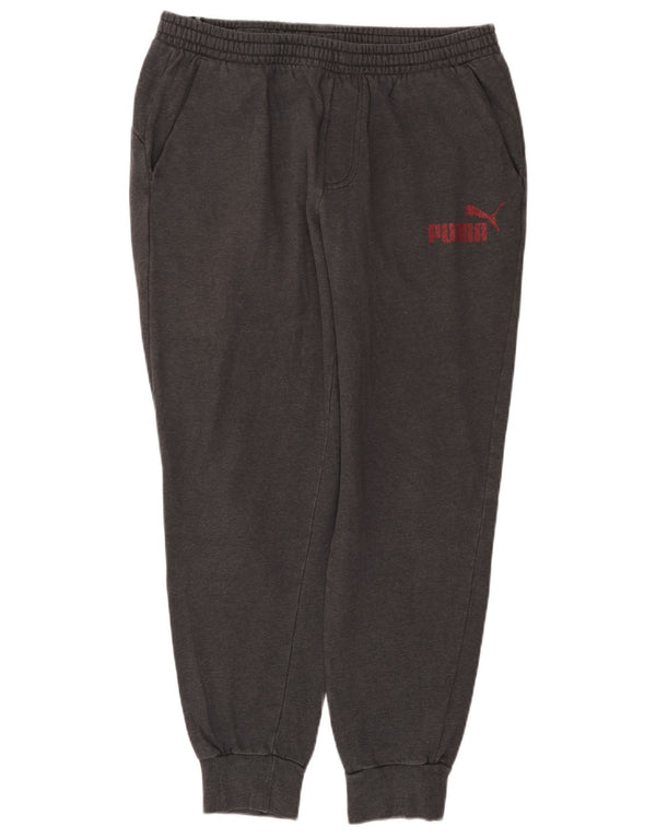 Męskie spodnie dresowe Puma Graphic Joggers XL Szara bawełna