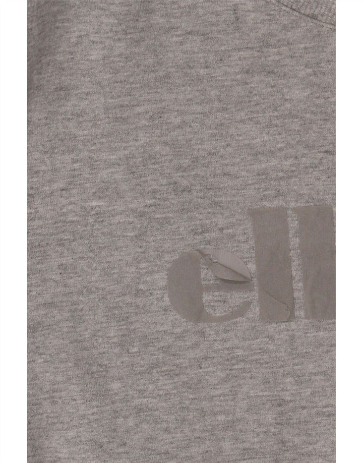 Męska bluza z grafiką ELLESSE, średnioszara, bawełniana