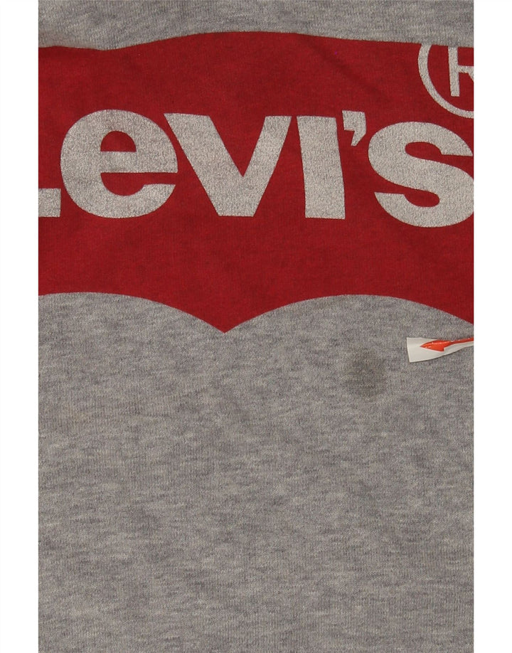 Męski sweter z kapturem i grafiką Levi's, średnioszary, bawełniany w cętki