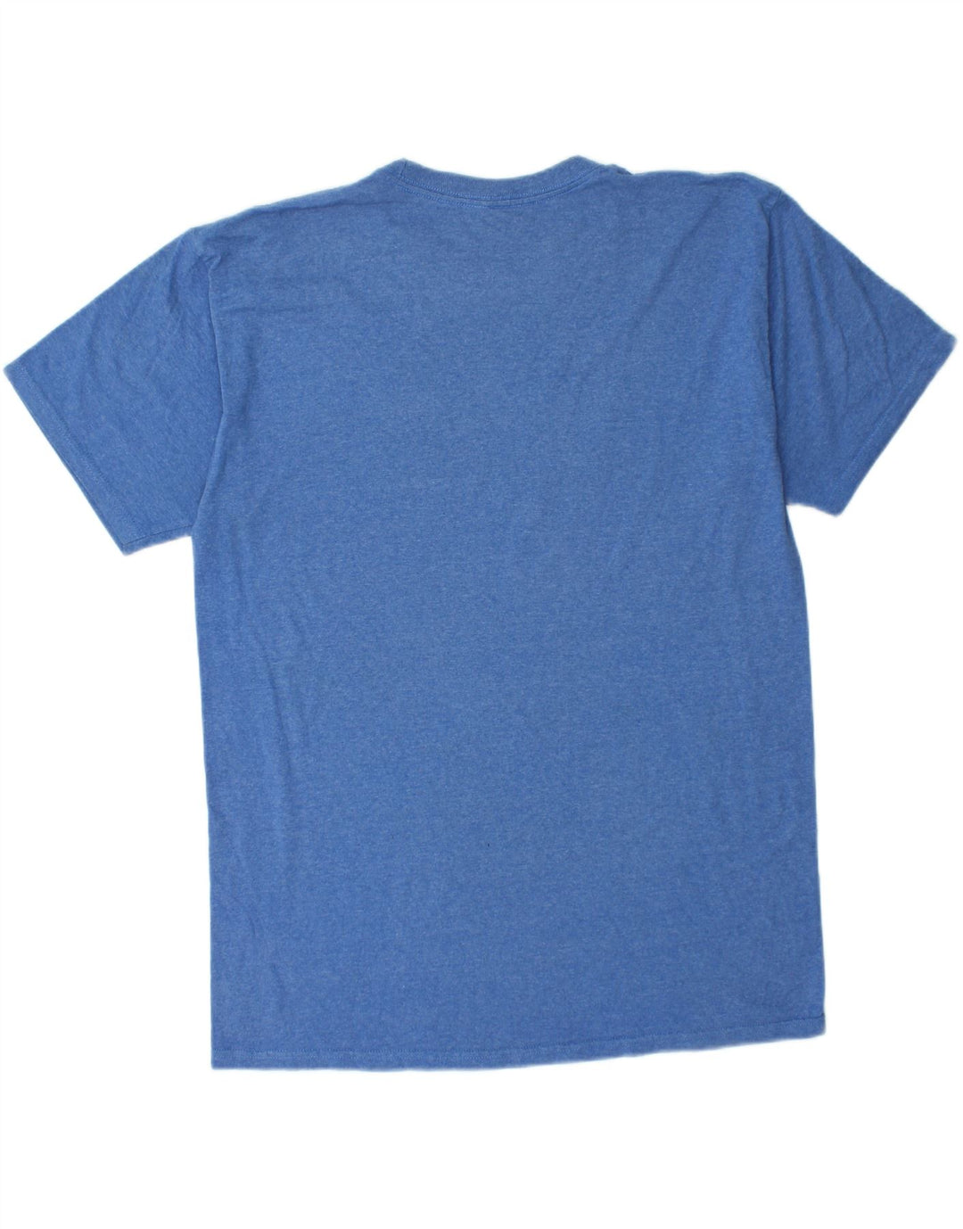 Męski T-shirt z grafiką VANS, duży, niebieski, bawełniany