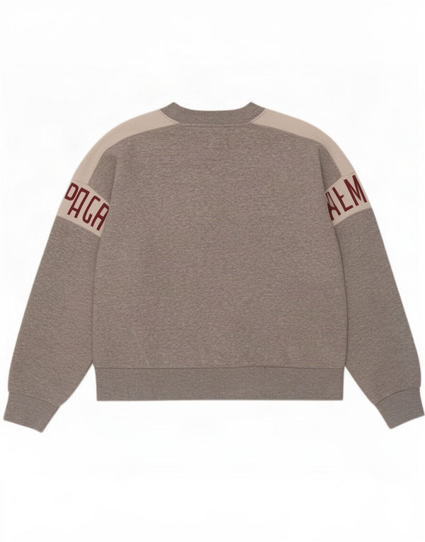 Męska bluza z grafiką American Eagle Jumper Średni szary Kolorblok