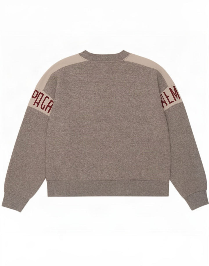 Męska bluza z grafiką American Eagle Jumper Średni szary Kolorblok