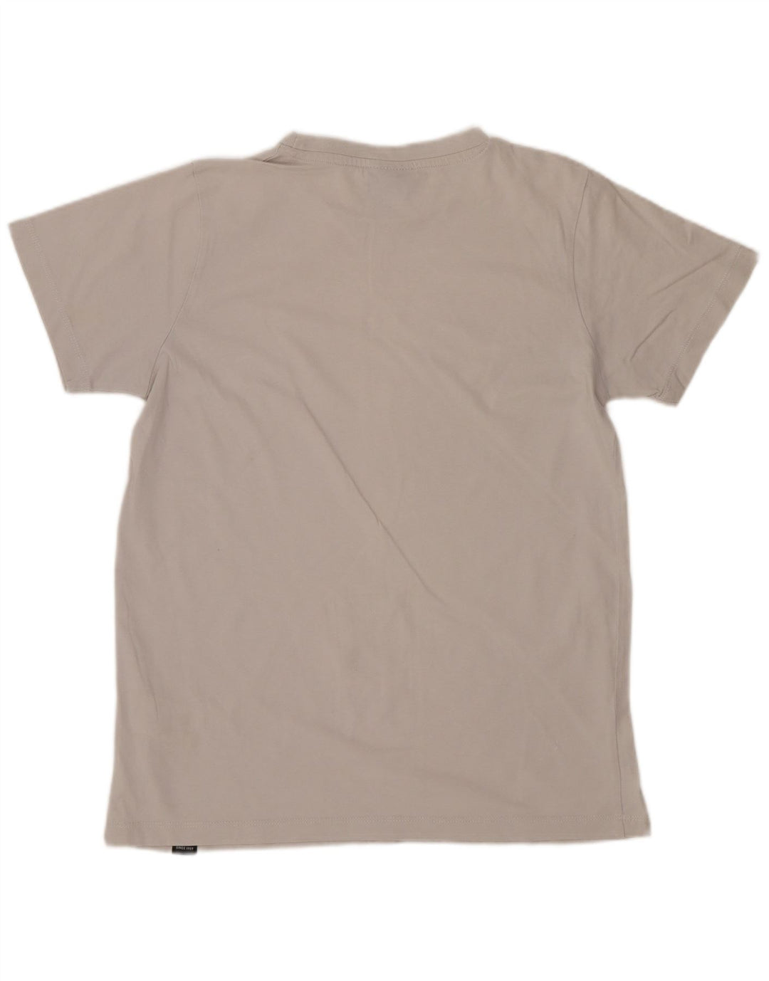 T-shirt chłopięcy Ellesse 12-13 lat, szara bawełna