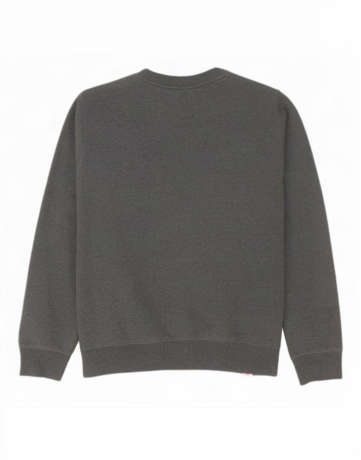 Męska bluza z grafiką Dickies, duża, szara bawełna