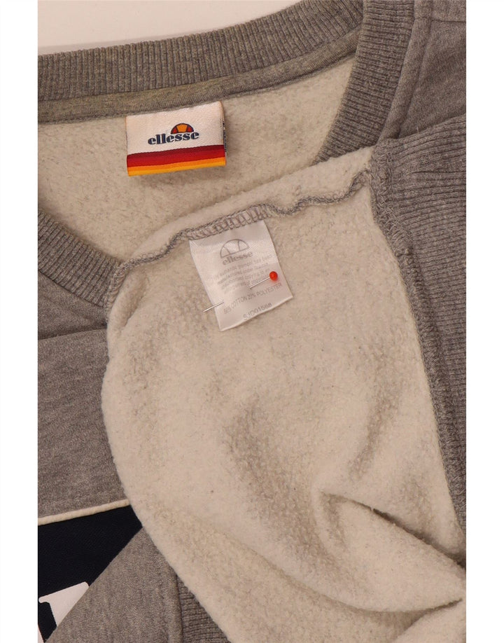Męska bluza z grafiką Ellesse, mała, szara, bawełniana w bloki kolorów