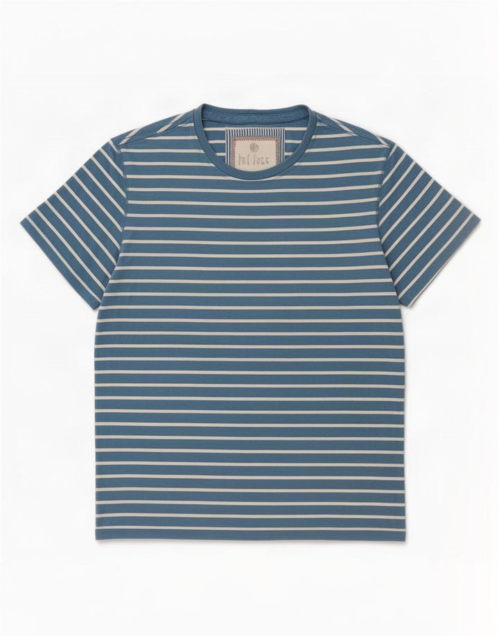 T-shirt męski Fat Face, bawełniany, w średnie niebieskie paski